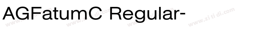 AGFatumC Regular字体转换